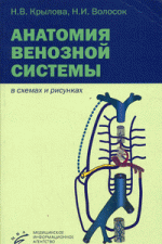 Анатомия венозной системы (в схемах).gif